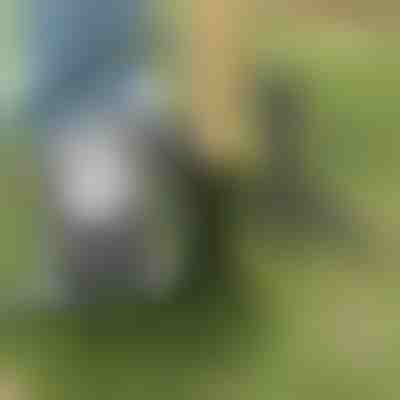 Unealtă pentru smulgerea buruienilor | ROOTNIK