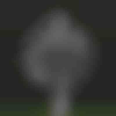 Moară de vânt kinetică pentru grădină | WINDARA