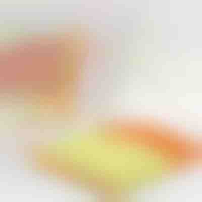 Curățător de jaluzele care reduce timpul la jumătate | BLINDY