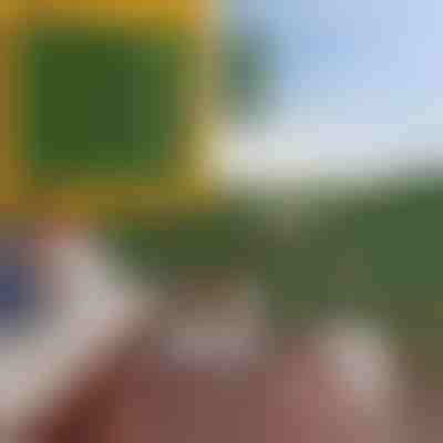 Panou cu frunze artificiale | LEAFPANEL