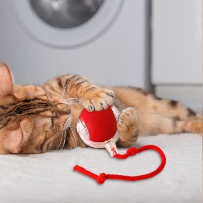 Jucărie pentru animale care se mișcă la atingere | GATOPLAY