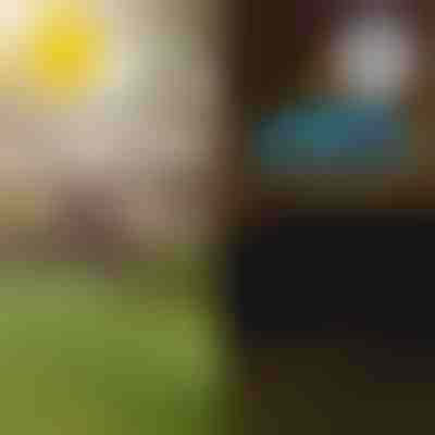 Lămpi solare tropicale pentru grădină | LUMIPALM