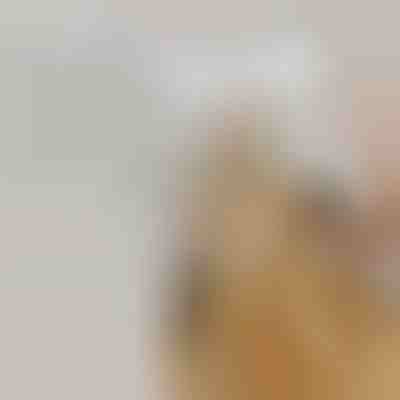 Perie cu aburi reîncărcabilă pentru îngrijirea animalelor de companie | GROOMSY