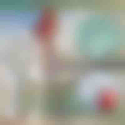 Cârlig telescopic metalic pentru barcă | FASTDOCK